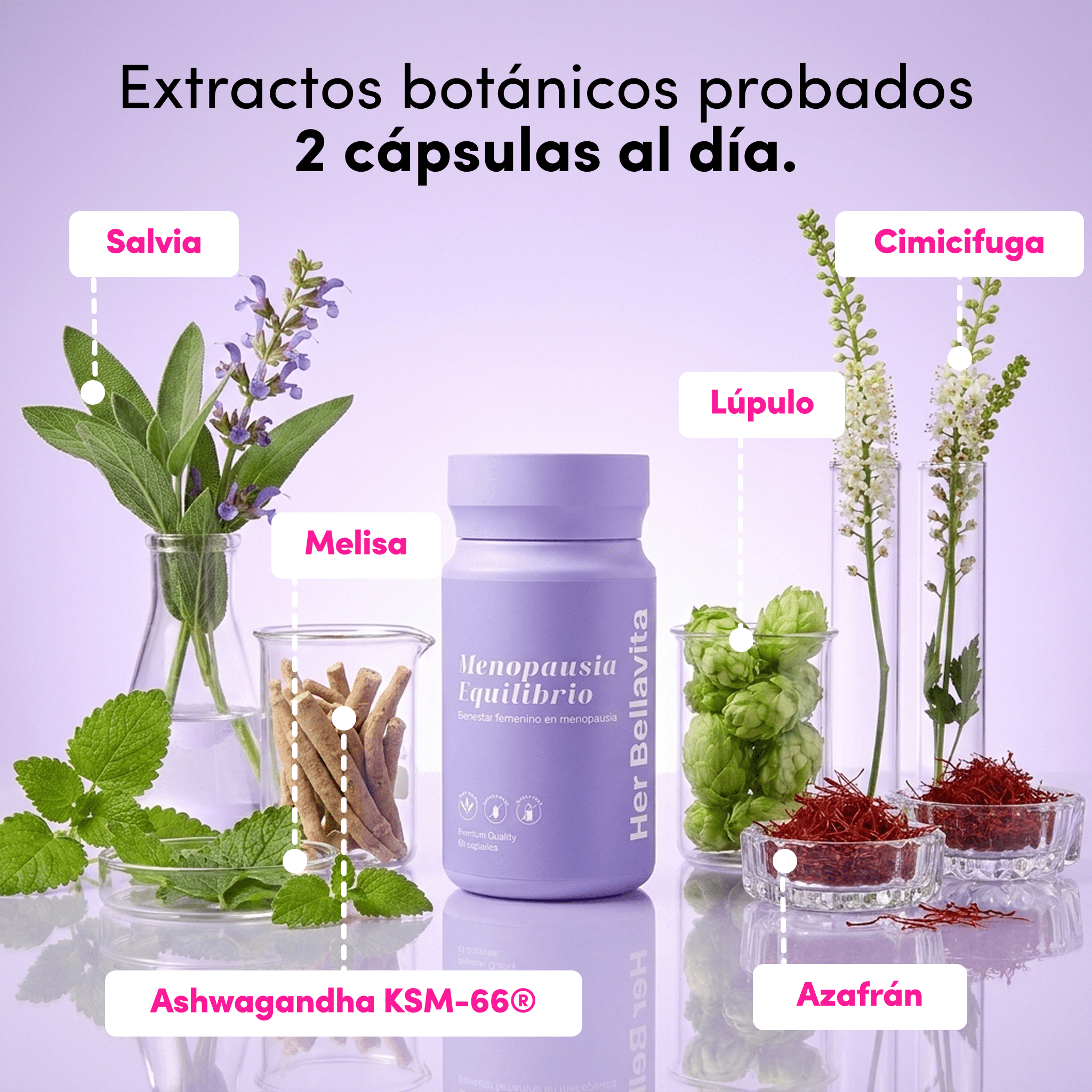 Menopausia Balance - herbellavita