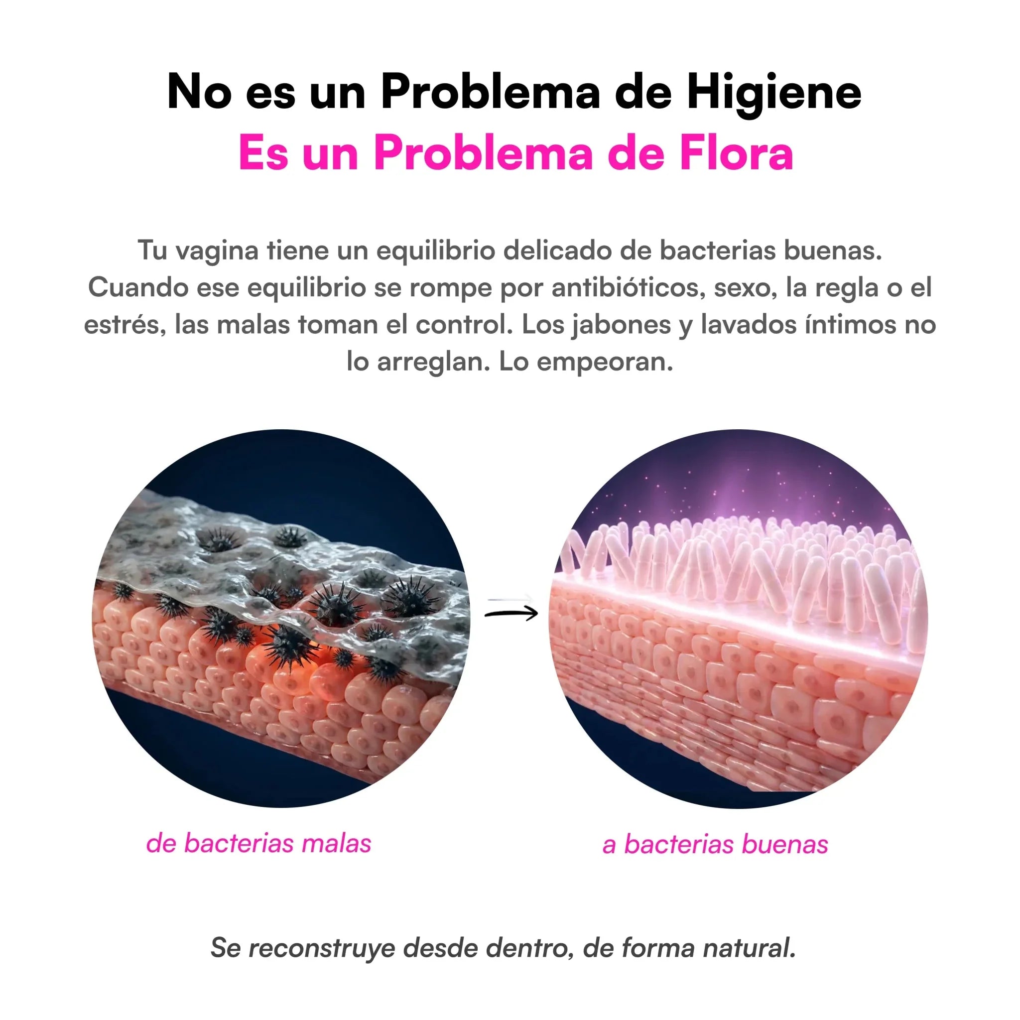 Probióticos Flora Íntima - herbellavita